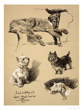 Irish Wolfhound, West Highlander and Cairn, 1930, Just Among Friends, Aldin