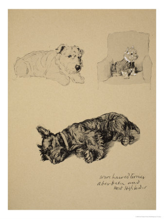Wire-Haired Terrier, Aberdeen and West Highlander, 1930, Just Among Friends, Aldin, c.C. Windsor