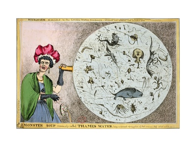 Microcosm Dedicated to London Water Companies, c.1828