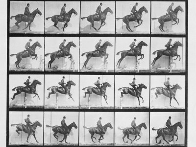 Buy Man and Horse Jumping a Fence, Plate 640 from Animal Locomotion, 1887 at AllPosters.com