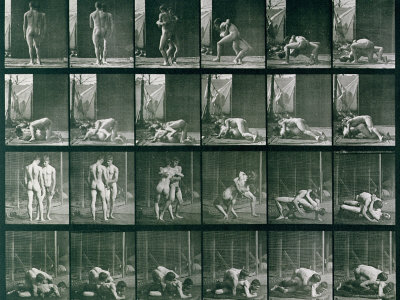 Buy Two Men Wrestling, Plate 346 from Animal Locomotion, 1887 at AllPosters.com