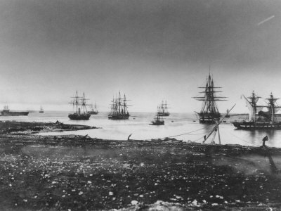 Crimean War, French Squadron, Entry Into the Port, 1855