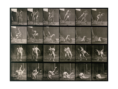 Buy Two Men Wrestling, Plate 348 from Animal Locomotion, 1887 at AllPosters.com