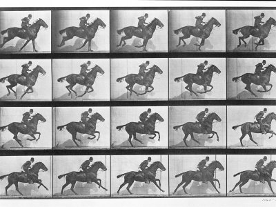 Buy Galloping Horse, Plate 628 from Animal Locomotion, 1887 at AllPosters.com
