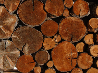 A Large Pile of Many Cut Logs