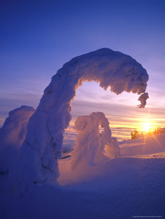 Snowghosts in the Whitefish Range, Montana, USA