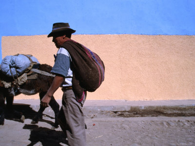 Local Man and Donkey in Cabanaconde at the Western End of the Colca Canyon, Arequipa, Peru