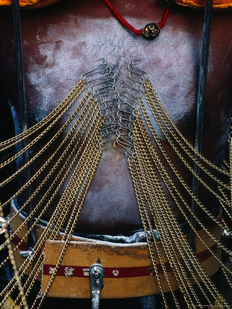 Detail of Pierced Body of Hindu Devotee at Thaipusam Festival, Singapore