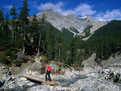 Hiker Crossing Wooden Bridge Over Stream in Val Chavagl, Piz Dal Fuorn, Switzerland