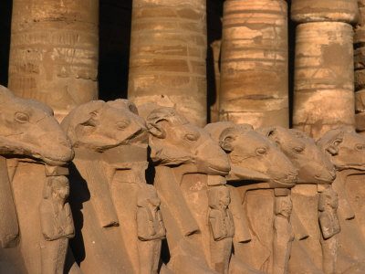 Avenue of Ram Headed Sphinxes at Karnak Temple, Luxor, Egypt