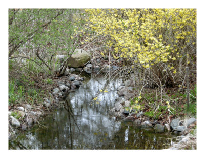Stream