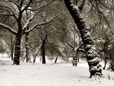 Queens Park Manchester in the Winter