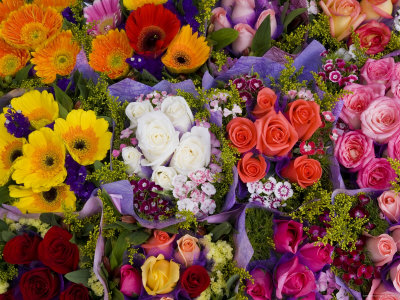China, Hong Kong, Kowloon, Flower Market