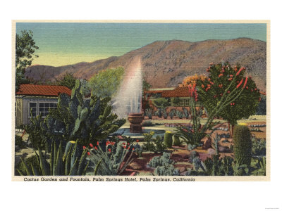 Palm Springs, California - Cactus Garden, Palm Springs Hotel