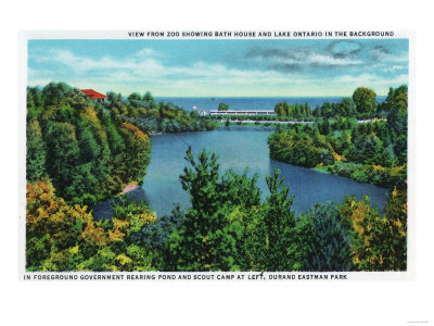 Rochester, NY - Rochester Zoo View of Lake Ontario and Durand Eastman Park