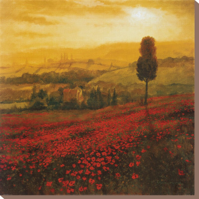 Shades of Poppies