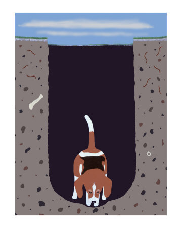 One Beagle - 1 Afternoon
