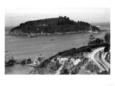Redwoods, California Coast and Trinidad Head Photograph - Redwoods, CA