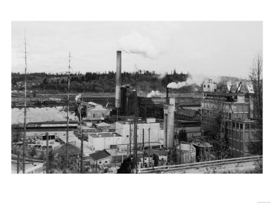 Shelton, WA Lumber and Pulp Mills Photograph - Shelton, WA