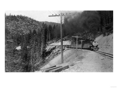View of Western Pacific Fruit Express Train - Marston, CA