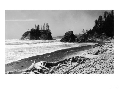 A Beach Scene at Ruby Beach Cabin Camp - Ruby Beach, WA