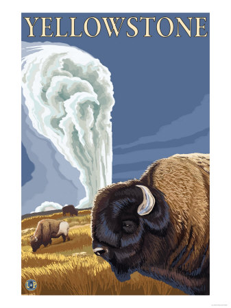 Yellowstone - Bison with Old Faithful