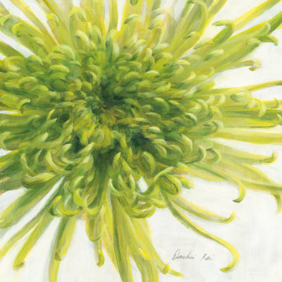 Contemproary Chrysanthemum