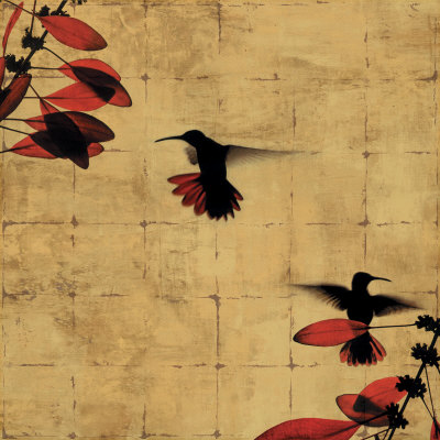 Colibri I
