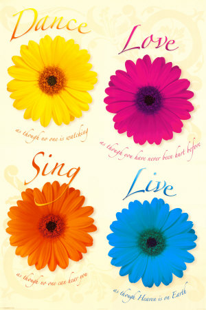 Dance, Love, Sing, Live