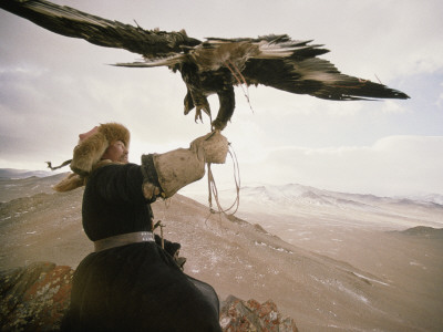 Buy Kazakh Hunter Strains to Support a Golden Eagle at AllPosters.com