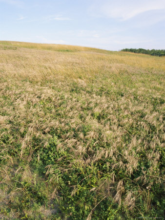 Big Kill Devil Hill,A Dune Where the Wright Brothers Pioneered Flying