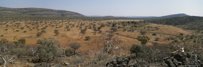 Buy Scenic View of the Landscape in Namibia at AllPosters.com
