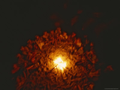 Buy Group of San Bushman Tribesmen Sit Around a Campfire at Night at AllPosters.com