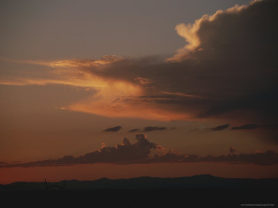 Clouds Fill the Sky at Twilight Over African Plains