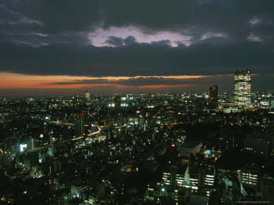 Elevated View of Tokyo Cityscape at Twilight