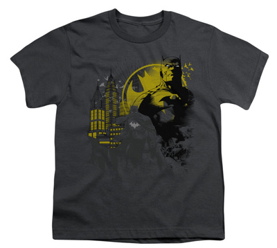 Youth: Batman - The Dark City