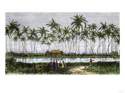 Waikiki in the 1800s.