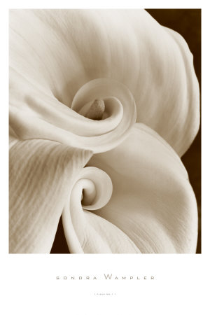 Buy Fleur No. 1 at AllPosters.com
