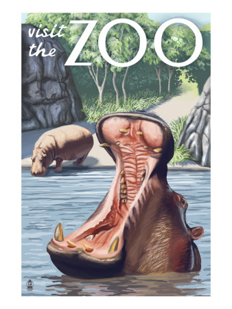 Visit the Zoo, Hippo Scene