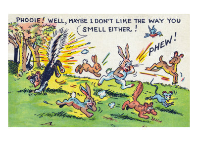 Skunk Spraying Animals, Maybe I Don