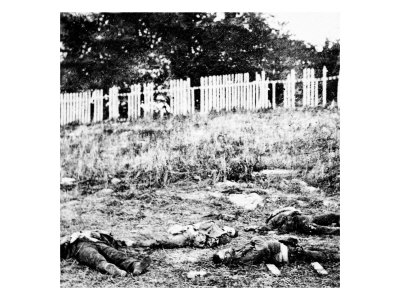 Antietam, MD, Dead Soldiers on Battlefield, Civil War