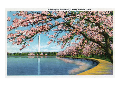 Washington DC, View of the Washington Monument with Blossoming Cherry Trees
