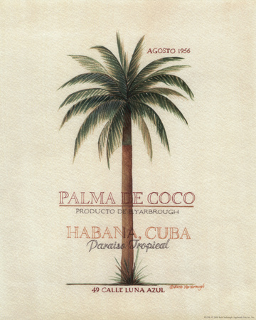 Palma de Coco