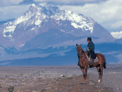 Buy Sheep Herd and Gaucho, Patagonia, Argentina at AllPosters.com