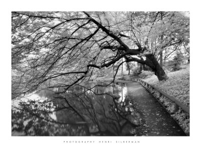 Japanese Garden