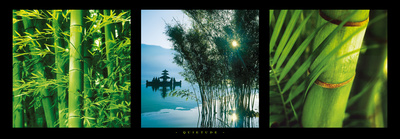 Quietude