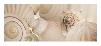 Buy Shells I at AllPosters.com