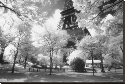 Afternoon In Paris