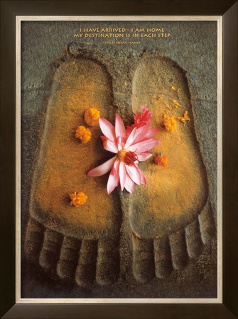Thich Nath Hanh, I Have Arrived