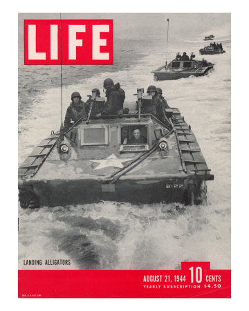 American Amphibious Tractors, Alligators, in action, August 21, 1944